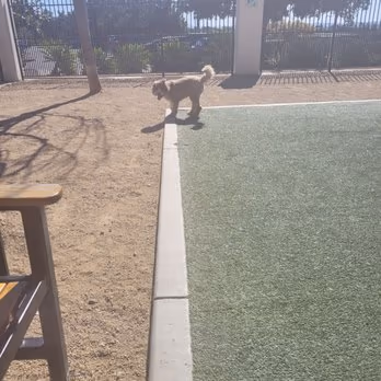 Otay Ranch Dog Park photo 1